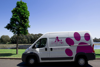 mobile dog grooming van